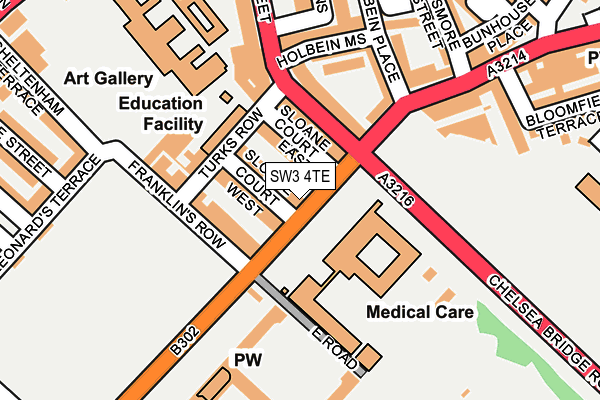 SW3 4TE map - OS OpenMap – Local (Ordnance Survey)