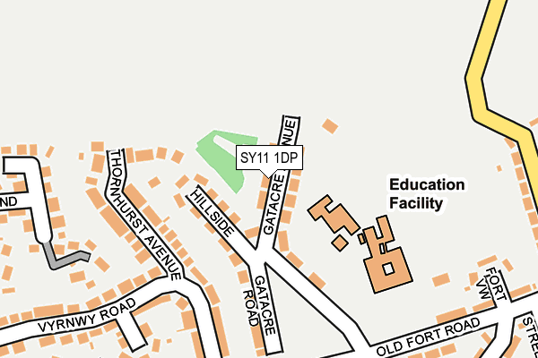 SY11 1DP map - OS OpenMap – Local (Ordnance Survey)