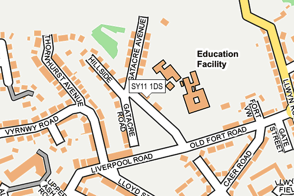 SY11 1DS map - OS OpenMap – Local (Ordnance Survey)