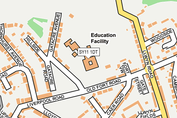 SY11 1DT map - OS OpenMap – Local (Ordnance Survey)