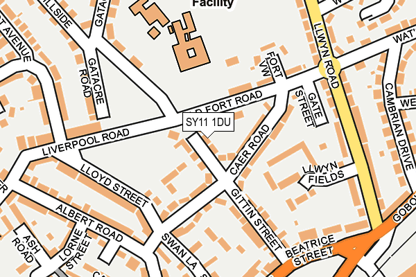 SY11 1DU map - OS OpenMap – Local (Ordnance Survey)