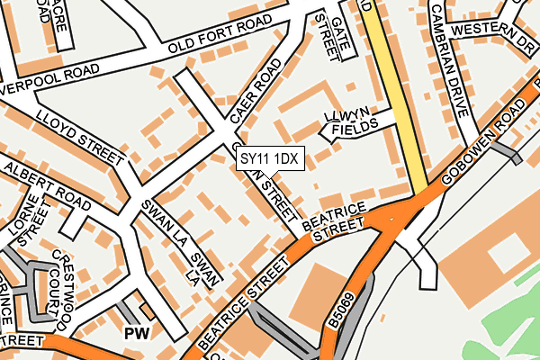 SY11 1DX map - OS OpenMap – Local (Ordnance Survey)