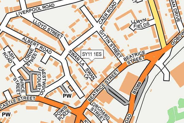 SY11 1ES map - OS OpenMap – Local (Ordnance Survey)