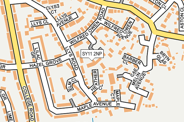 SY11 2NP map - OS OpenMap – Local (Ordnance Survey)