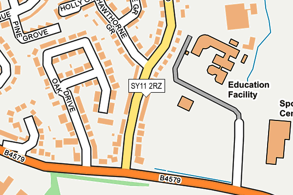 SY11 2RZ map - OS OpenMap – Local (Ordnance Survey)