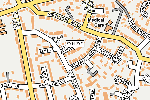 SY11 2XE map - OS OpenMap – Local (Ordnance Survey)