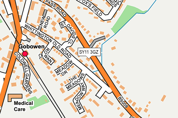 SY11 3GZ map - OS OpenMap – Local (Ordnance Survey)