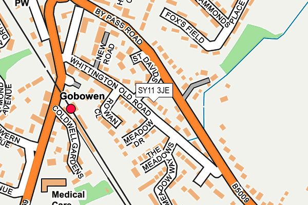 SY11 3JE map - OS OpenMap – Local (Ordnance Survey)