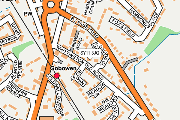 SY11 3JQ map - OS OpenMap – Local (Ordnance Survey)