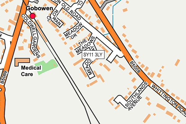 SY11 3LY map - OS OpenMap – Local (Ordnance Survey)