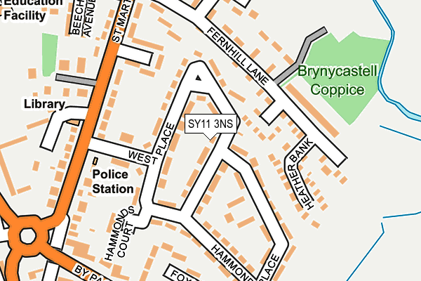 SY11 3NS map - OS OpenMap – Local (Ordnance Survey)