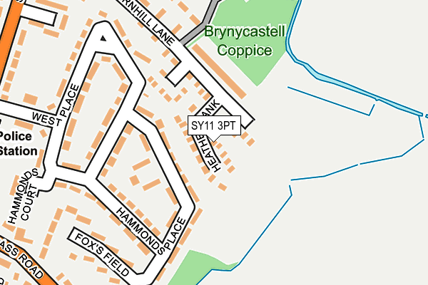 SY11 3PT map - OS OpenMap – Local (Ordnance Survey)