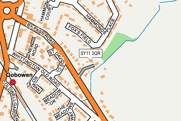 SY11 3QR map - OS OpenMap – Local (Ordnance Survey)