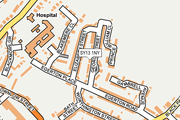 SY13 1NY map - OS OpenMap – Local (Ordnance Survey)