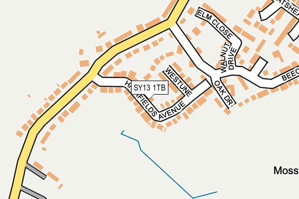 SY13 1TB map - OS OpenMap – Local (Ordnance Survey)