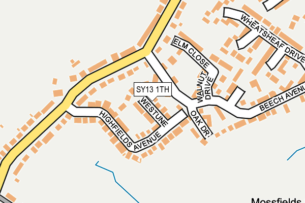 SY13 1TH map - OS OpenMap – Local (Ordnance Survey)