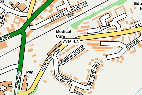 SY16 1NS map - OS OpenMap – Local (Ordnance Survey)