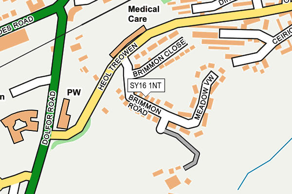 SY16 1NT map - OS OpenMap – Local (Ordnance Survey)