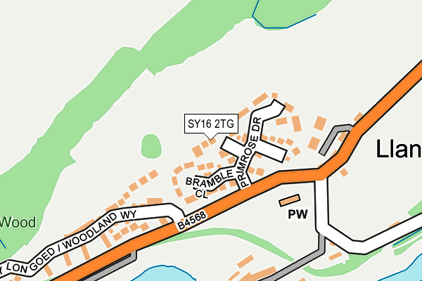 SY16 2TG map - OS OpenMap – Local (Ordnance Survey)