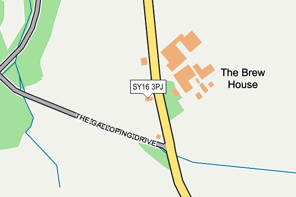 SY16 3PJ map - OS OpenMap – Local (Ordnance Survey)