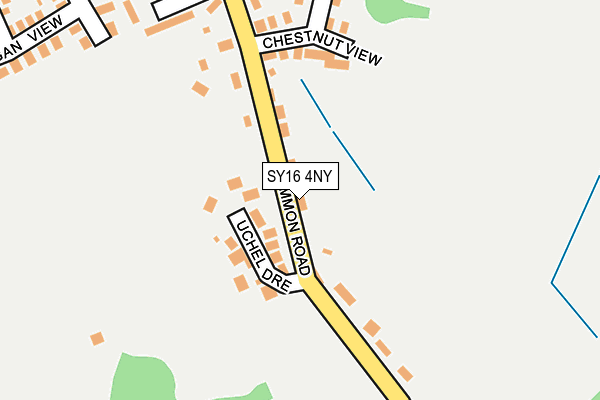 SY16 4NY map - OS OpenMap – Local (Ordnance Survey)