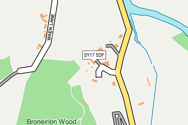 SY17 5DF map - OS OpenMap – Local (Ordnance Survey)