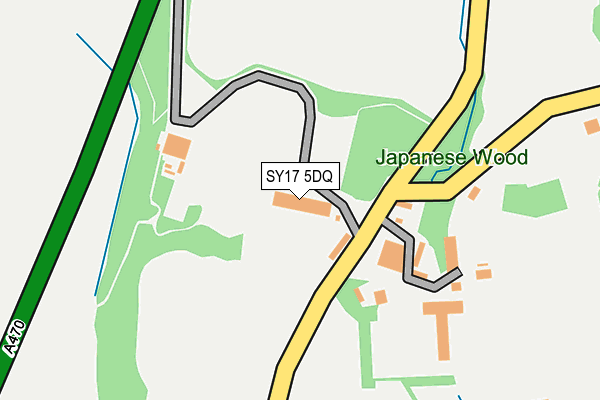 SY17 5DQ map - OS OpenMap – Local (Ordnance Survey)
