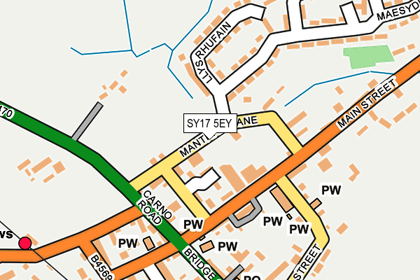 SY17 5EY map - OS OpenMap – Local (Ordnance Survey)