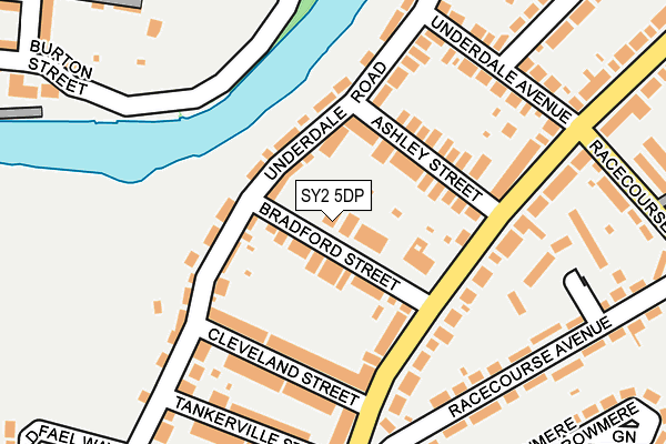 SY2 5DP map - OS OpenMap – Local (Ordnance Survey)