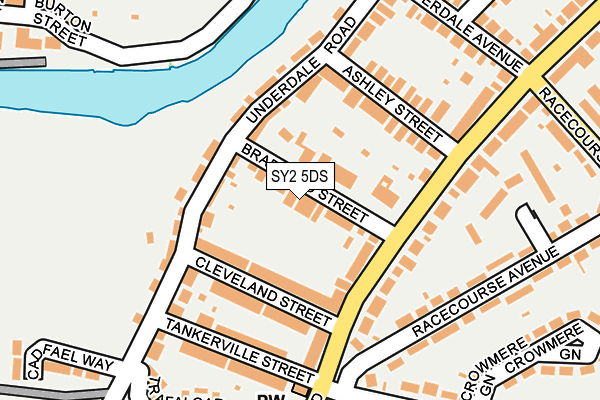 SY2 5DS map - OS OpenMap – Local (Ordnance Survey)