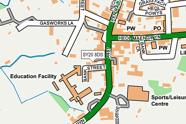 SY20 8DS map - OS OpenMap – Local (Ordnance Survey)