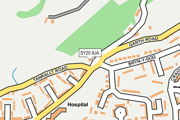 SY20 8JA map - OS OpenMap – Local (Ordnance Survey)