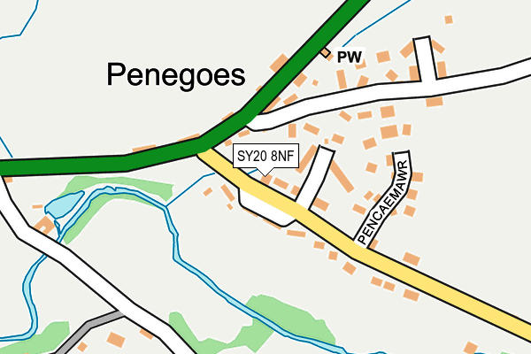 SY20 8NF map - OS OpenMap – Local (Ordnance Survey)