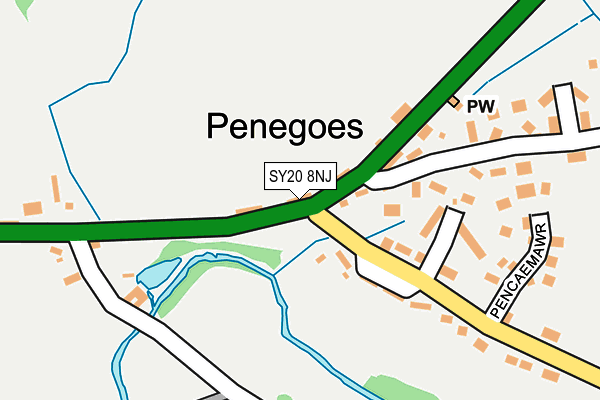 SY20 8NJ map - OS OpenMap – Local (Ordnance Survey)