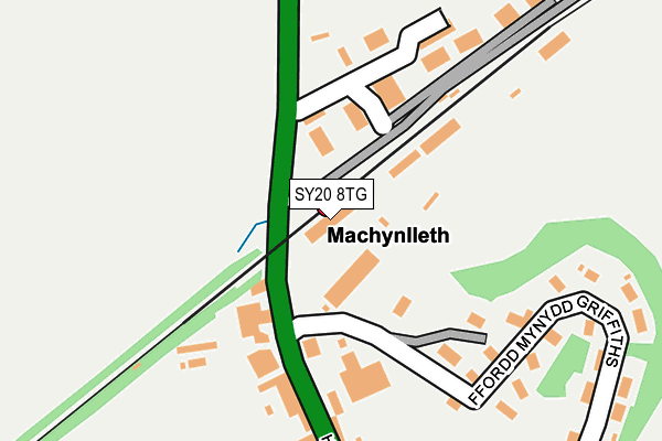 SY20 8TG map - OS OpenMap – Local (Ordnance Survey)