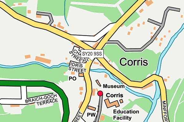 SY20 9SS map - OS OpenMap – Local (Ordnance Survey)