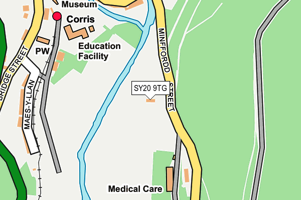 SY20 9TG map - OS OpenMap – Local (Ordnance Survey)