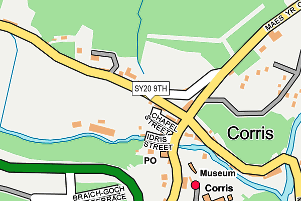 SY20 9TH map - OS OpenMap – Local (Ordnance Survey)