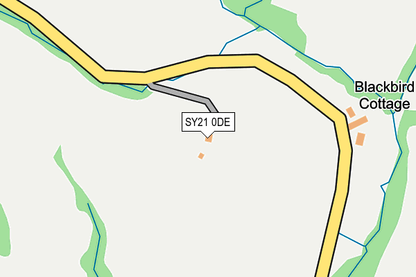 SY21 0DE map - OS OpenMap – Local (Ordnance Survey)