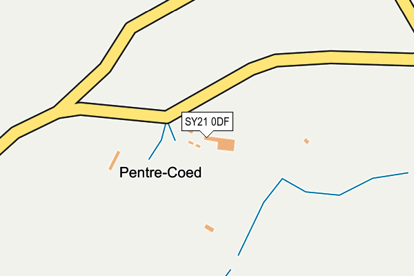SY21 0DF map - OS OpenMap – Local (Ordnance Survey)