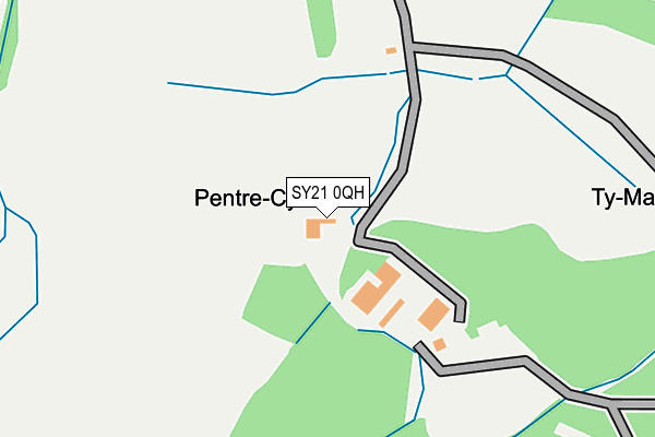 SY21 0QH map - OS OpenMap – Local (Ordnance Survey)