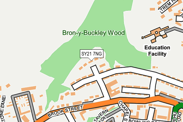 SY21 7NG map - OS OpenMap – Local (Ordnance Survey)