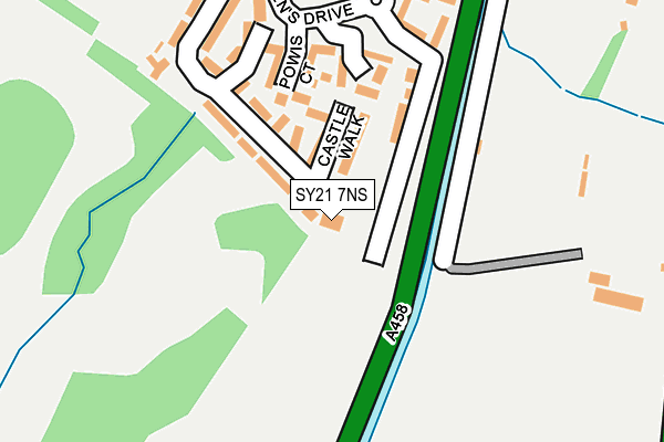 SY21 7NS map - OS OpenMap – Local (Ordnance Survey)