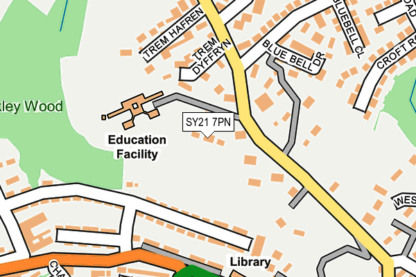 SY21 7PN map - OS OpenMap – Local (Ordnance Survey)