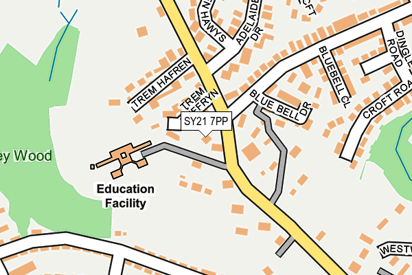 SY21 7PP map - OS OpenMap – Local (Ordnance Survey)