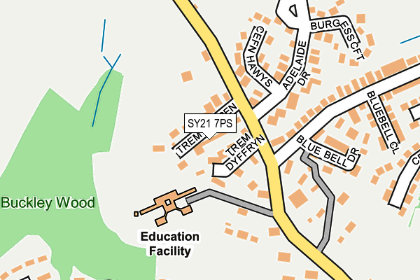 SY21 7PS map - OS OpenMap – Local (Ordnance Survey)