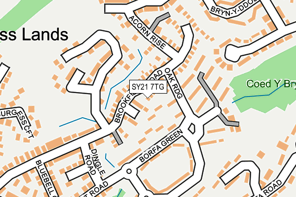 SY21 7TG map - OS OpenMap – Local (Ordnance Survey)