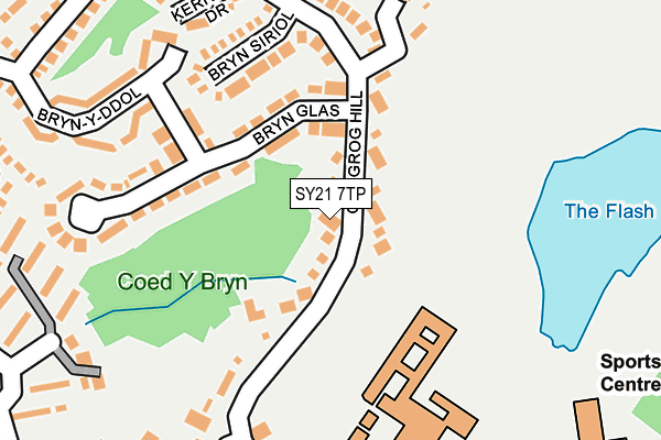 SY21 7TP map - OS OpenMap – Local (Ordnance Survey)