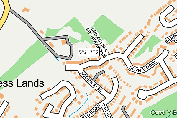 SY21 7TS map - OS OpenMap – Local (Ordnance Survey)