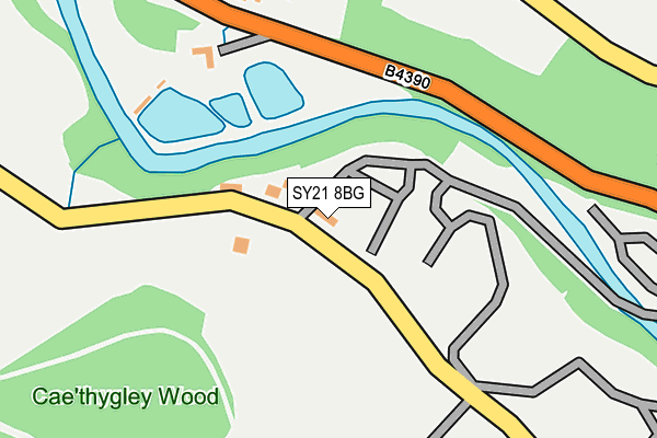 SY21 8BG map - OS OpenMap – Local (Ordnance Survey)